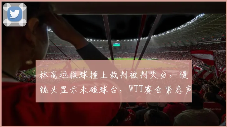 林高远救球撞上裁判被判失分,慢镜头显示未碰球台,WTT赛会紧急声明仍难平争议