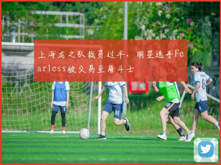 上海龙之队裁员过半，明星选手Fearless被交易至角斗士